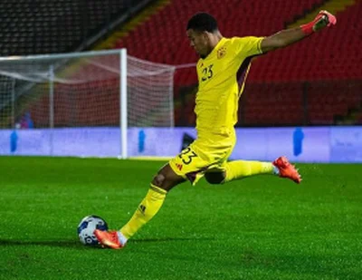 The GK who will save Super Eagles: PeseiroÂ admits it will be tough convincing Freiburg star to switch allegiance