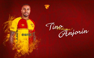 Done deal: Torino midfielder Anjorin joins Goztepe on loan with an option to buy