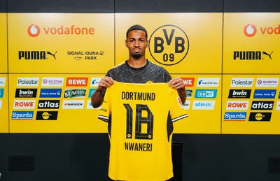 Arsenal loanee Nwaneri unsung hero in Dortmund's comeback win against Hoffenheim